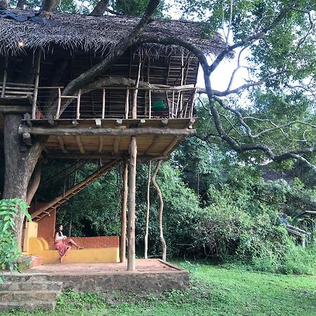 Back Of Beyond - Wild Haven Villa สิกิริยา ภายนอก รูปภาพ