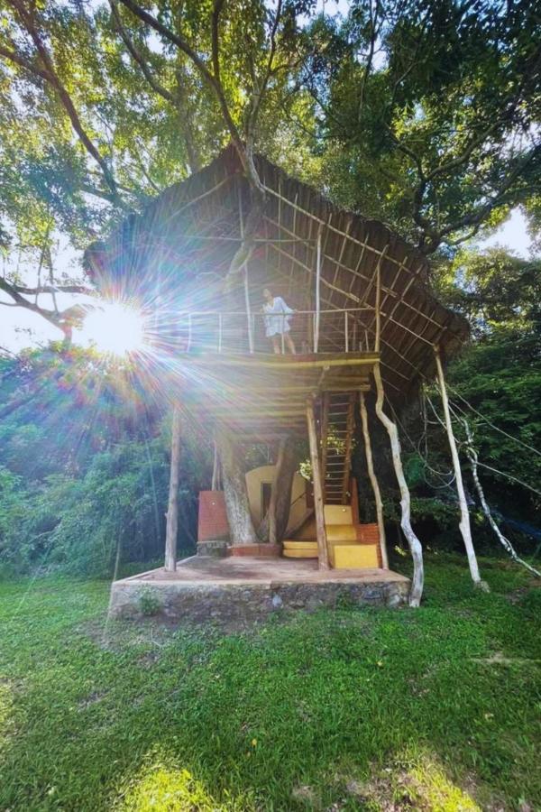 Back Of Beyond - Wild Haven Villa สิกิริยา ภายนอก รูปภาพ