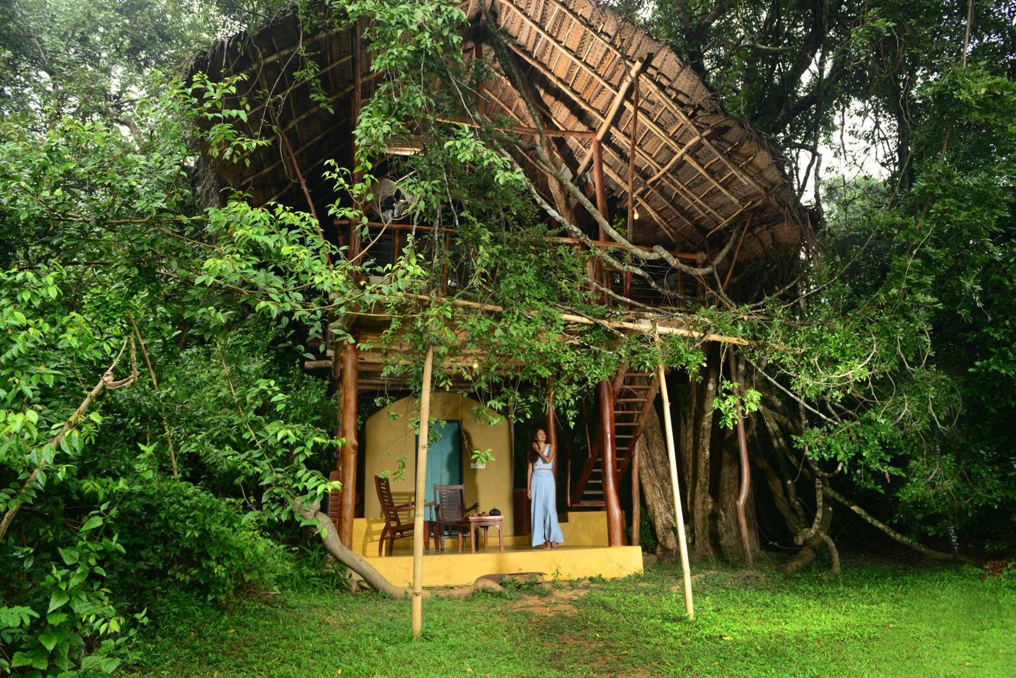 Back Of Beyond - Wild Haven Villa สิกิริยา ภายนอก รูปภาพ