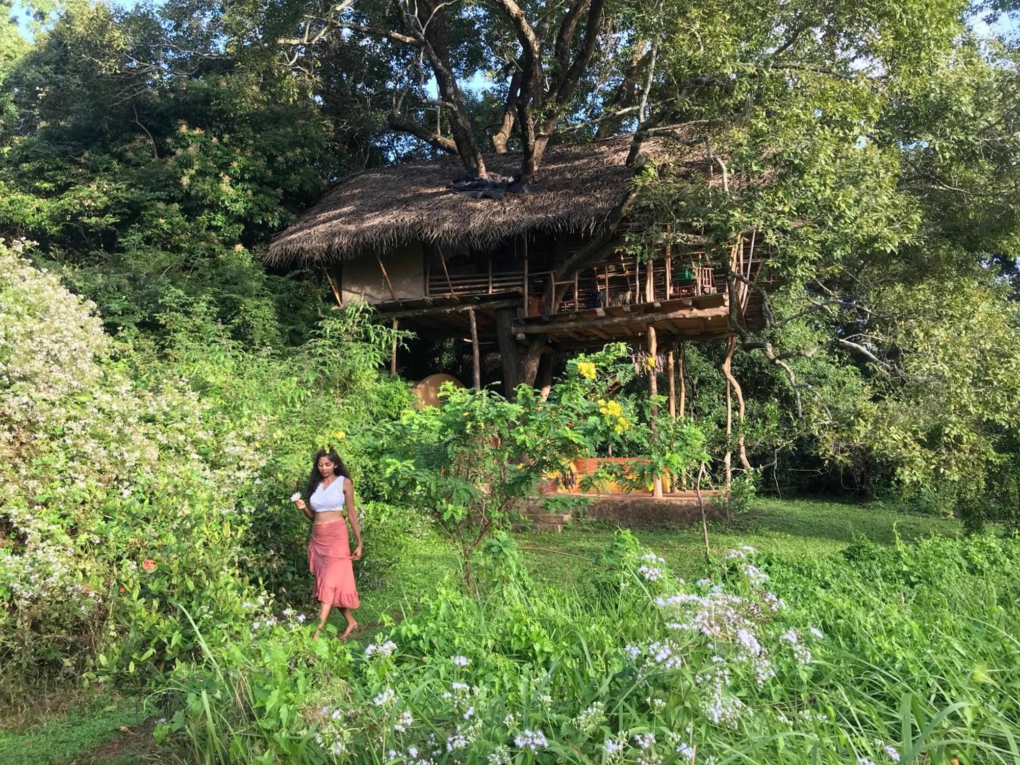Back Of Beyond - Wild Haven Villa สิกิริยา ภายนอก รูปภาพ