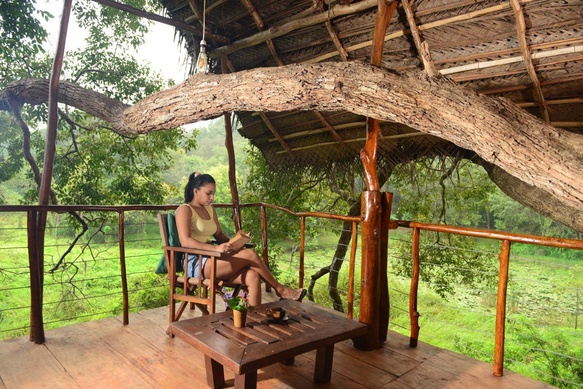 Back Of Beyond - Wild Haven Villa สิกิริยา ภายนอก รูปภาพ