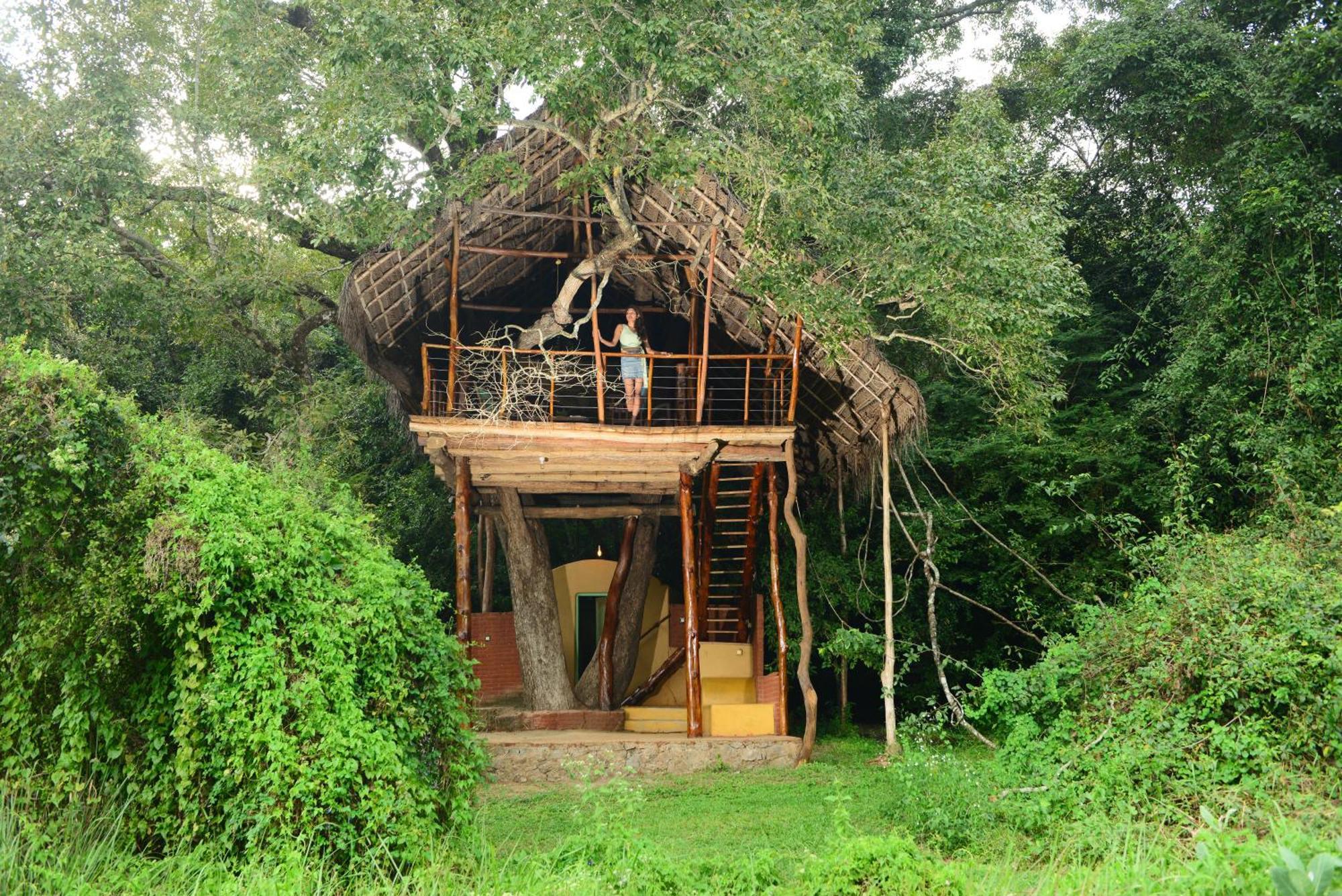 Back Of Beyond - Wild Haven Villa สิกิริยา ภายนอก รูปภาพ