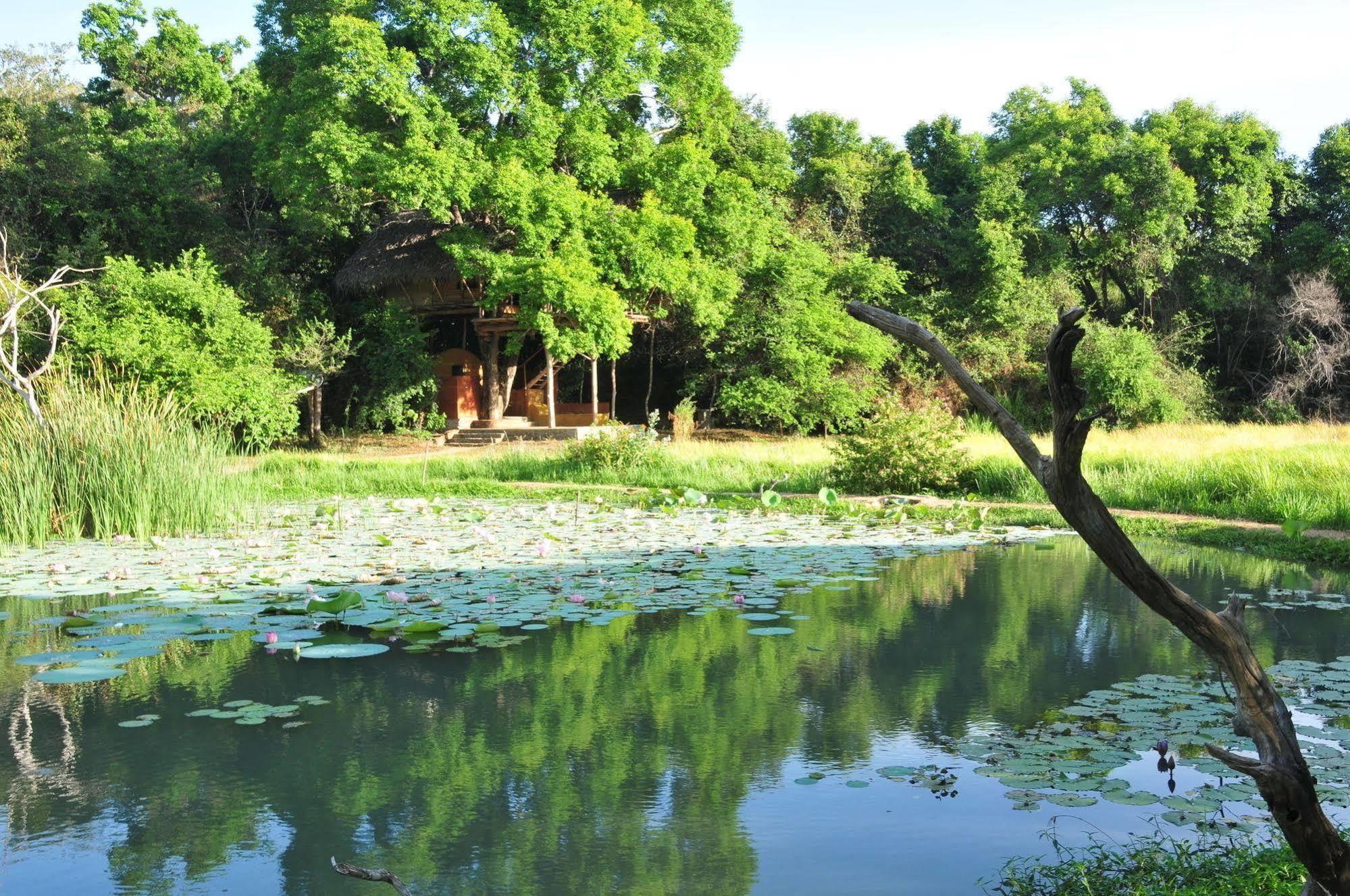 Back Of Beyond - Wild Haven Villa สิกิริยา ภายนอก รูปภาพ
