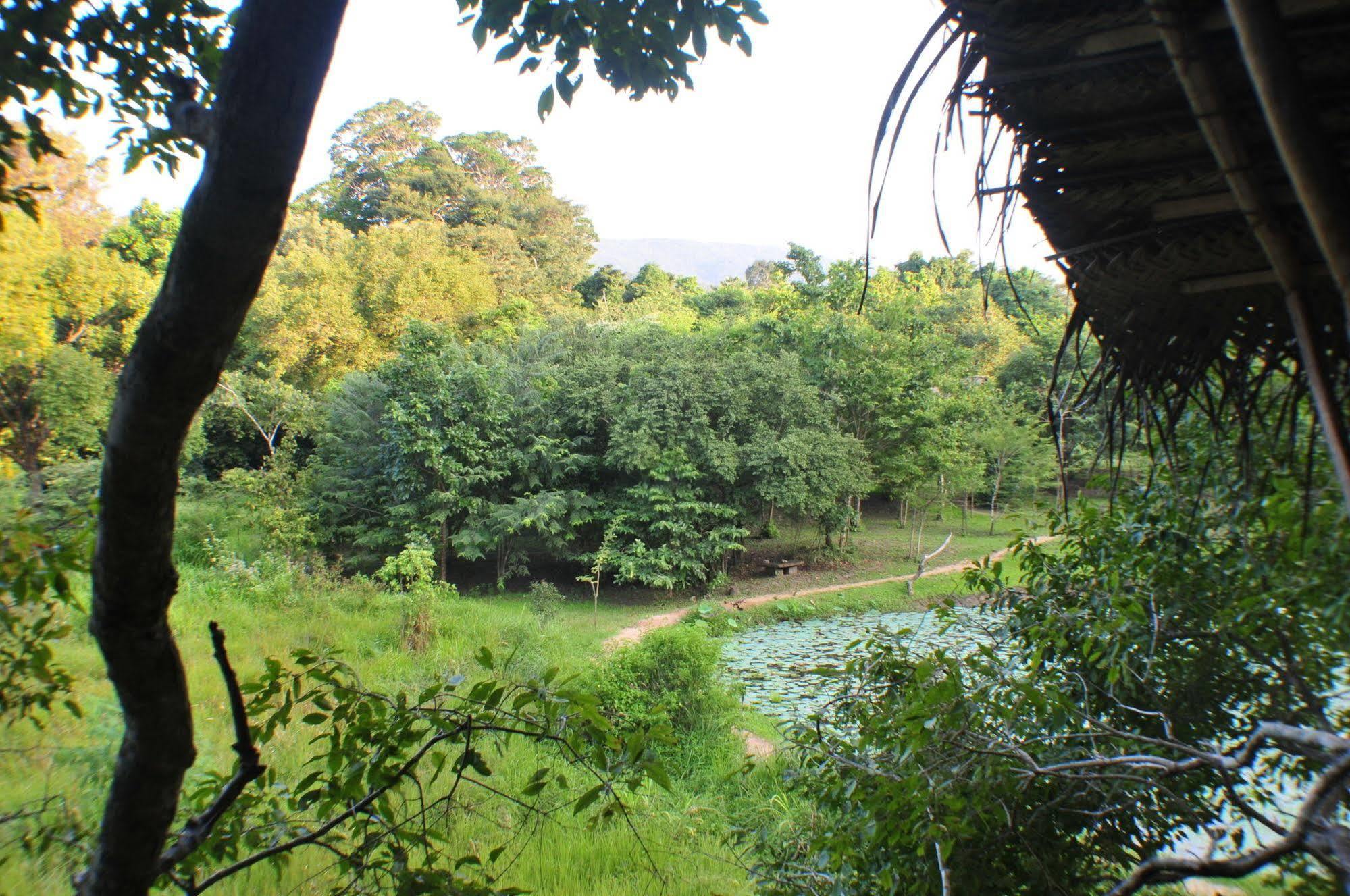 Back Of Beyond - Wild Haven Villa สิกิริยา ภายนอก รูปภาพ