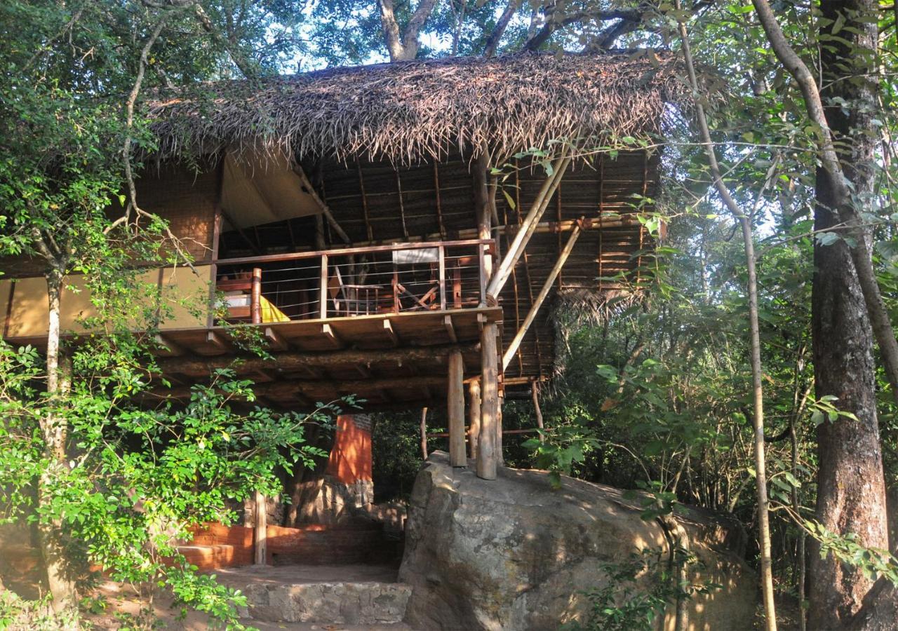 Back Of Beyond - Wild Haven Villa สิกิริยา ภายนอก รูปภาพ