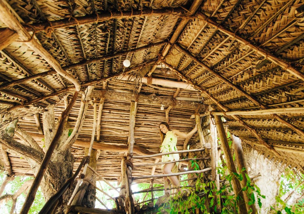 Back Of Beyond - Wild Haven Villa สิกิริยา ภายนอก รูปภาพ