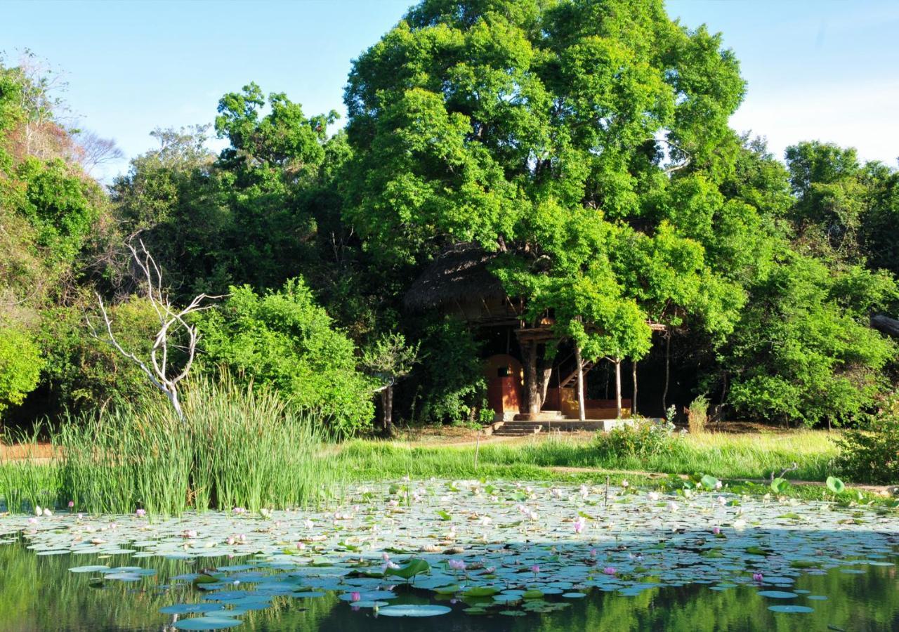 Back Of Beyond - Wild Haven Villa สิกิริยา ภายนอก รูปภาพ