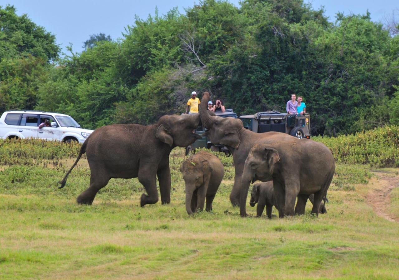 Back Of Beyond - Wild Haven Villa สิกิริยา ภายนอก รูปภาพ