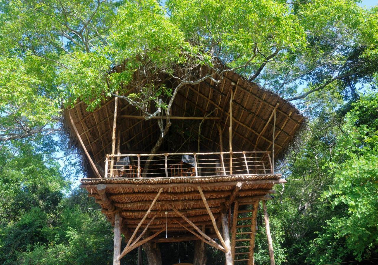 Back Of Beyond - Wild Haven Villa สิกิริยา ภายนอก รูปภาพ