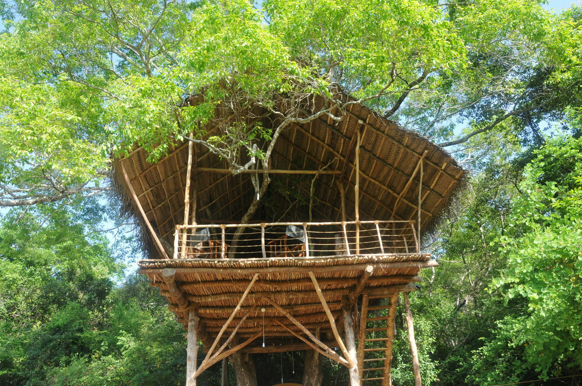 Back Of Beyond - Wild Haven Villa สิกิริยา ภายนอก รูปภาพ