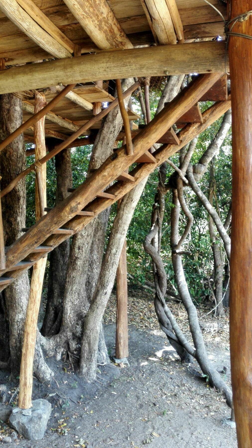 Back Of Beyond - Wild Haven Villa สิกิริยา ภายนอก รูปภาพ