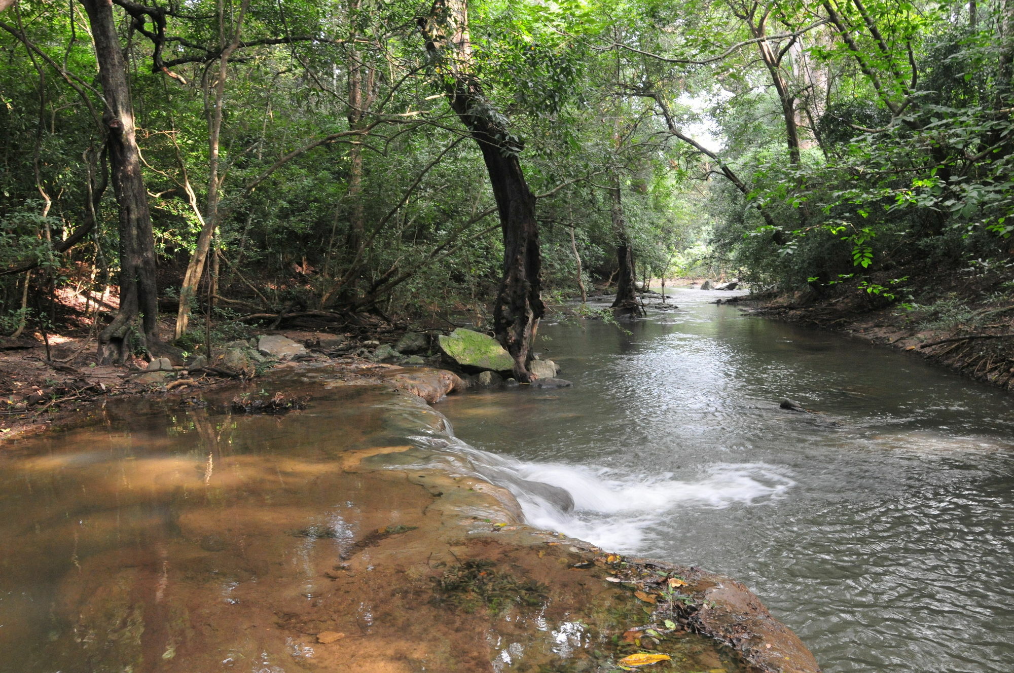 Back Of Beyond - Wild Haven Villa สิกิริยา ภายนอก รูปภาพ
