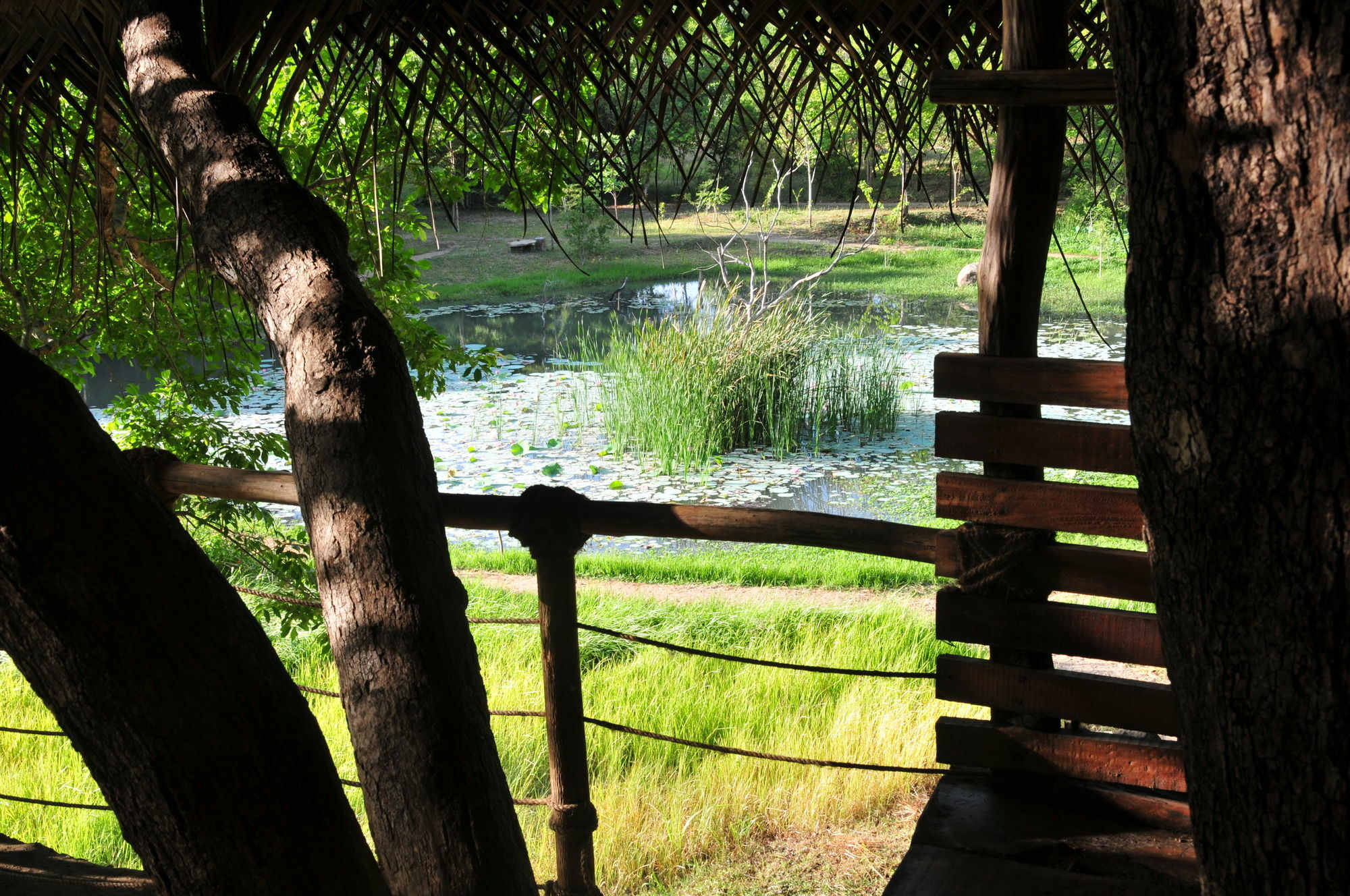 Back Of Beyond - Wild Haven Villa สิกิริยา ภายนอก รูปภาพ